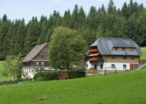 Hotels in Titisee-Neustadt